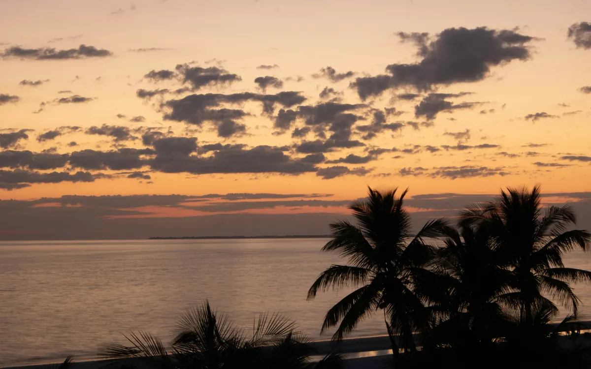 Palm trees silhouetted against an orange sunset over the Gulf at Fort Myers Beach